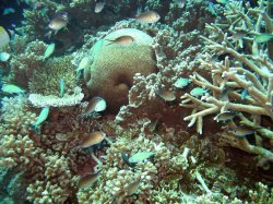 IMG_3510~0.jpg