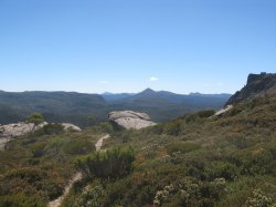 IMG_3559.jpg