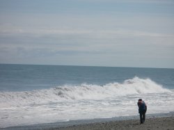IMG_3594.jpg