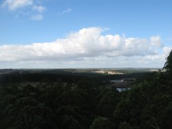 IMG_4207.jpg