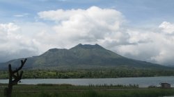 Filename=IMG_4515.jpg
Filesize=262KiB
Dimensions=1600x898
Date added=Mar 19, 2008 IMG_4515.jpg