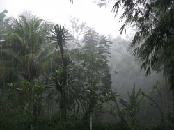 Filename=IMG_4519.jpg
Filesize=581KiB
Dimensions=1600x1200
Date added=Mar 19, 2008 IMG_4519.jpg