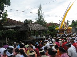 Filename=IMG_4674.jpg
Filesize=543KiB
Dimensions=1600x1200
Date added=Mar 19, 2008 IMG_4674.jpg