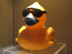 Filename=IMG_5386.jpg
Filesize=333KiB
Dimensions=1600x1200
Date added=Mar 22, 2008 IMG_5386.jpg