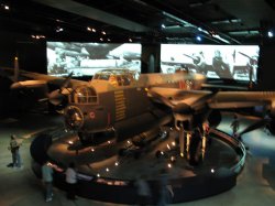 IMG_5495.jpg