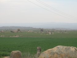 IMG_5692.jpg