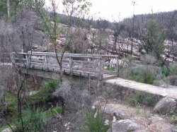 IMG_6455.jpg