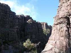 IMG_6499.jpg
