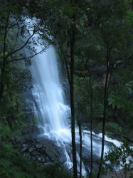 IMG_6912.jpg