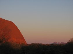 IMG_7578.jpg