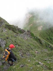 Filename=IMG_9919.jpg
Filesize=682KiB
Dimensions=1200x1600
Date added=Jul 31, 2008 IMG_9919.jpg