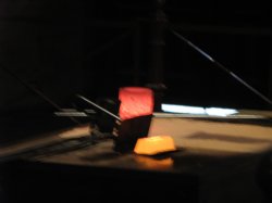 IMG_6378.jpg